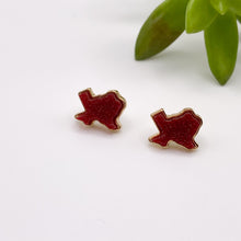 Load image into Gallery viewer, Texas Earrings
